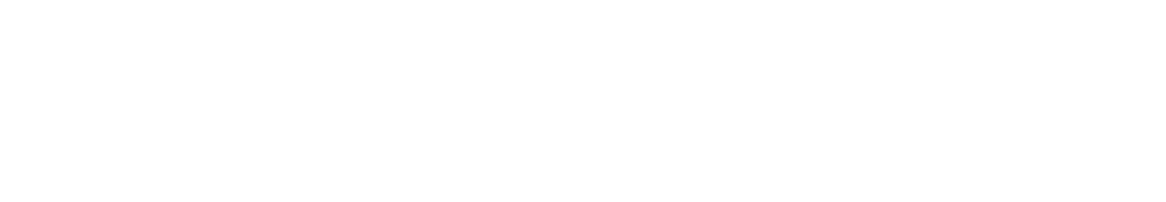 Professional SEO Services