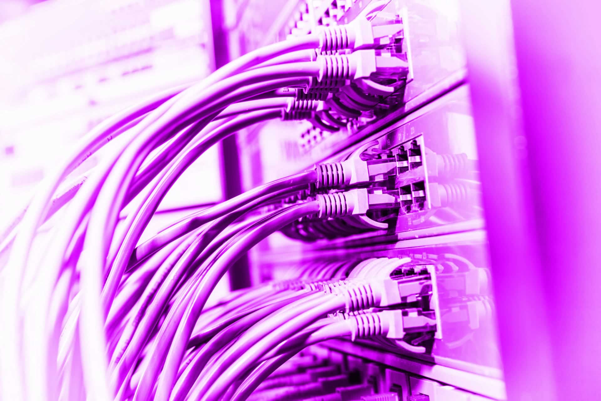Professional Web Design Services